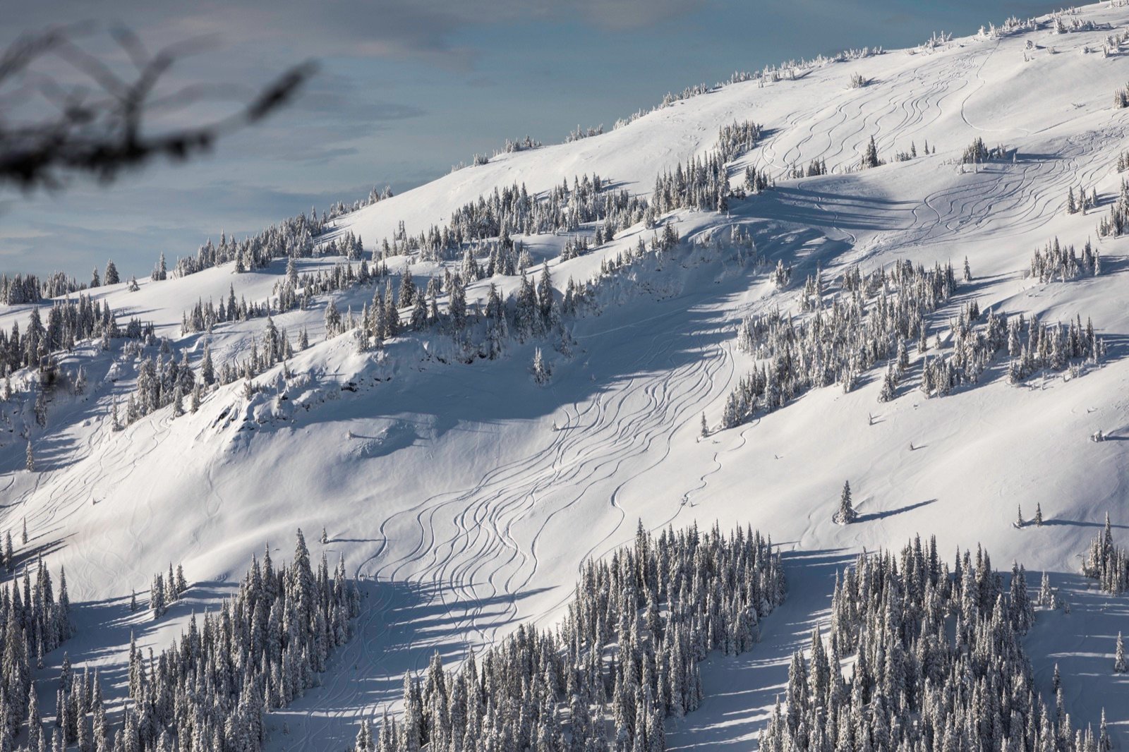 Wide view of an untouched powder slope in the alpine above Keefer Lake Lodge