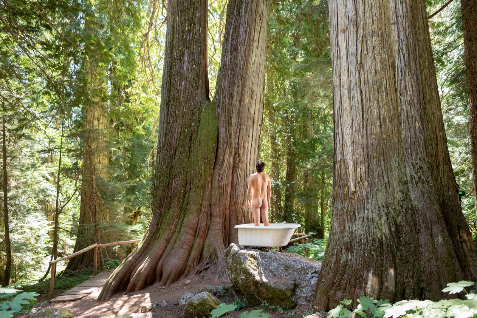A bathtub set among towering old-growth cedars, Men in Tubs calendar